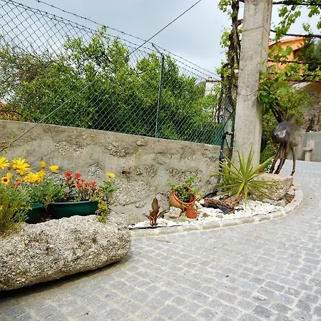 Casa Da Ramada - Water Tank With Running Natural Spring Water - By Bedzy * Брага