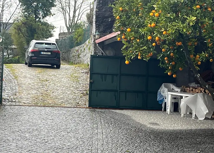 Casa Da Ramada - Water Tank With Running Natural Spring Water - By Bedzy 펜션 브라가