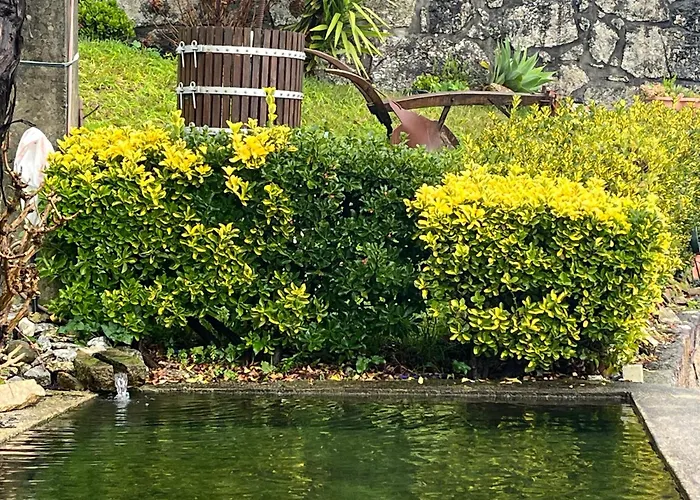 Casa Da Ramada - Water Tank With Running Natural Spring Water - By Bedzy